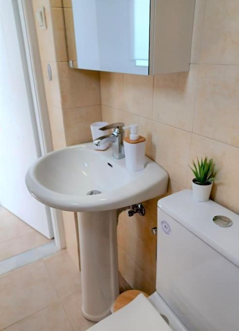 Apartment Asteri